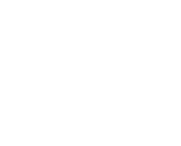 telephone
